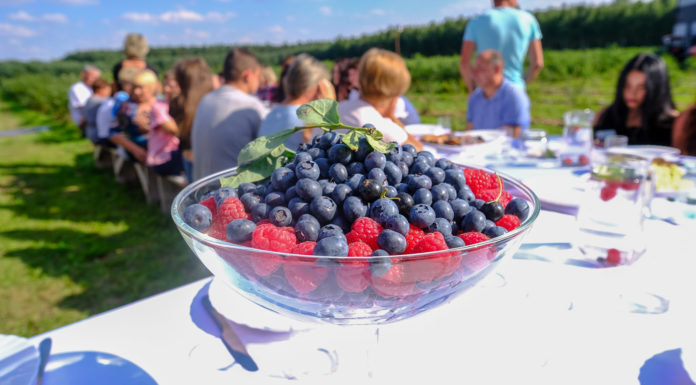 Z borówką na stole