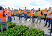 Ocena odmian borówki i trendy w uprawie