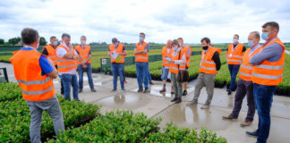 Ocena odmian borówki i trendy w uprawie