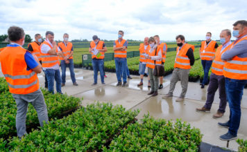 Ocena odmian borówki i trendy w uprawie