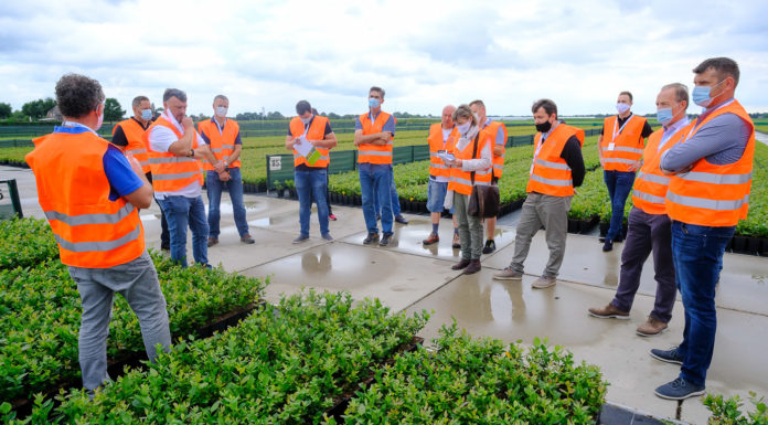 Ocena odmian borówki i trendy w uprawie