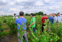 Dni Otwarte Fall Creek – Niderlandy 2020. FILM