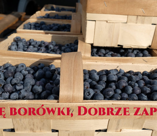 Wysoka cena borówki – nie dajcie się oszukać!