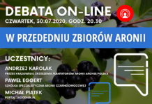 W przededniu zbiorów aronii – debata on-line