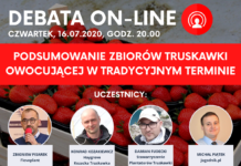Podsumowanie zbiorów truskawki owocującej w tradycyjnym terminie – Debata on-line