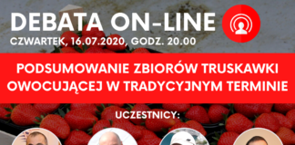 Podsumowanie zbiorów truskawki owocującej w tradycyjnym terminie – Debata on-line