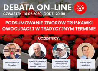 Podsumowanie zbiorów truskawki owocującej w tradycyjnym terminie – Debata on-line
