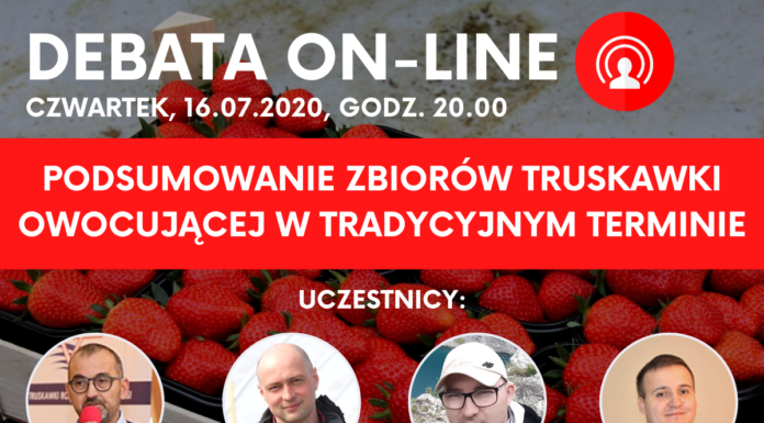 Podsumowanie zbiorów truskawki owocującej w tradycyjnym terminie – Debata on-line