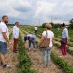 IMG_7249hortplant