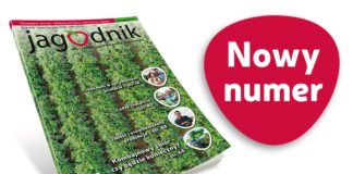 Jagodnik 6/2020 – już w sprzedaży