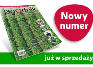 Jagodnik 6/2020 – już w sprzedaży