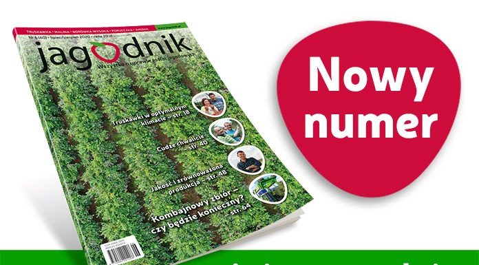 Jagodnik 6/2020 – już w sprzedaży