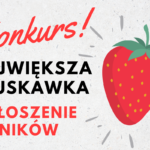 Konkurs!