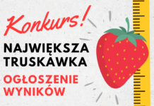 WYNIKI KONKURSU – Największa truskawka