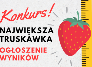 WYNIKI KONKURSU – Największa truskawka