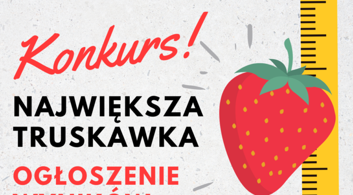 WYNIKI KONKURSU – Największa truskawka