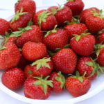 Limelexia_IMG_7196hortplant