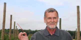 Przeziernik porzeczkowiec – nowe możliwości zwalczania