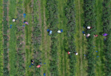 Startuje Borówkowbranie!