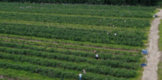 Będzie łatwiej o pracowników sezonowych w USA?