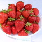 siew_powtarzajaca_IMG_7208hortplant