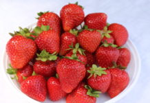 Hodowlane Rendez-Vous w Hortplancie