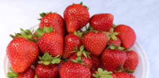 Hodowlane Rendez-Vous w Hortplancie