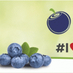 BlueberryPolska_new
