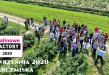 Malinowe Factory – spotkanie dla plantatorów 5 września 2020