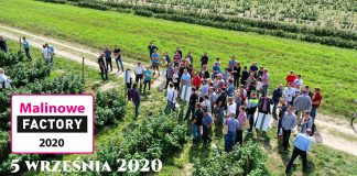 Malinowe Factory – spotkanie dla plantatorów 5 września 2020