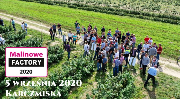 Malinowe Factory – spotkanie dla plantatorów 5 września 2020