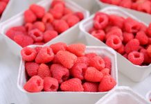 Co będzie na Malinowym Factory 2020? Spotkanie już 5 września