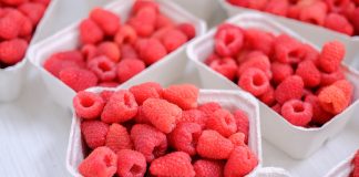 Co będzie na Malinowym Factory 2020? Spotkanie już 5 września