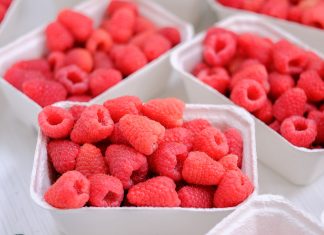 Co będzie na Malinowym Factory 2020? Spotkanie już 5 września