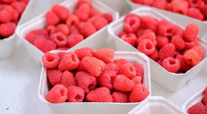 Co będzie na Malinowym Factory 2020? Spotkanie już 5 września