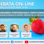 Debata – truskawka powtarzająca – FB