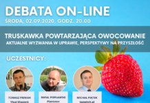 Testowy wpis do sprawdzenia wtyczki – debata Debata truskawka powtarzająca owocowanie
