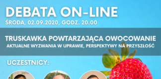 Truskawka powtarzająca owocowanie – debata on-line Debata truskawka powtarzająca owocowanie