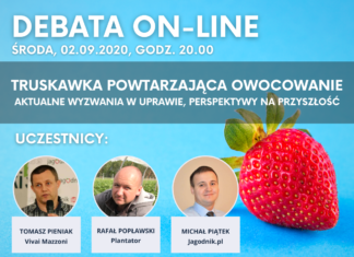 Testowy wpis do sprawdzenia wtyczki – debata Debata truskawka powtarzająca owocowanie