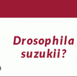 Drosinal_750x200px_ICB