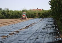 Efektywne odkażanie gleby