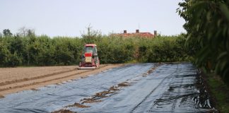 Efektywne odkażanie gleby