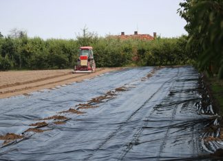 Efektywne odkażanie gleby