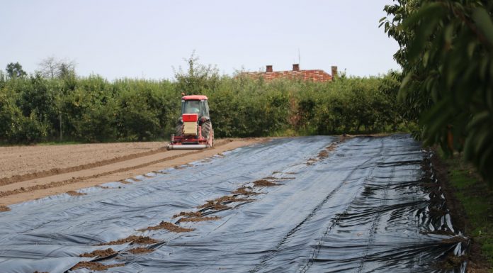 Efektywne odkażanie gleby