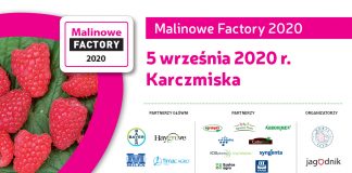 Malinowe Factory 2020