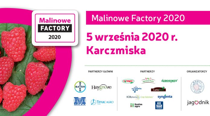 Malinowe Factory 2020