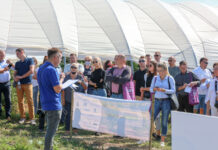 BORÓWKOWE FACTORY – finałowe spotkanie i podsumowanie pierwszego sezonu