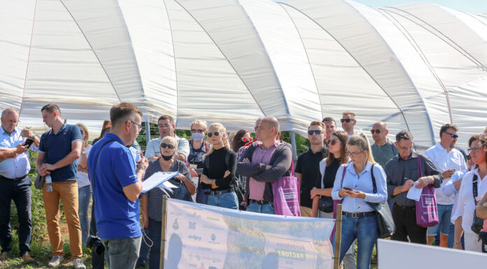 BORÓWKOWE FACTORY – finałowe spotkanie i podsumowanie pierwszego sezonu