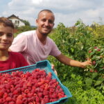 20190908_133429delniwa_kosowo_1