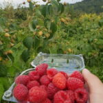 20190908_133941delniwa_kosowo_1